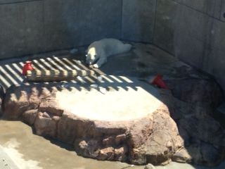 秋田水族館～入道崎