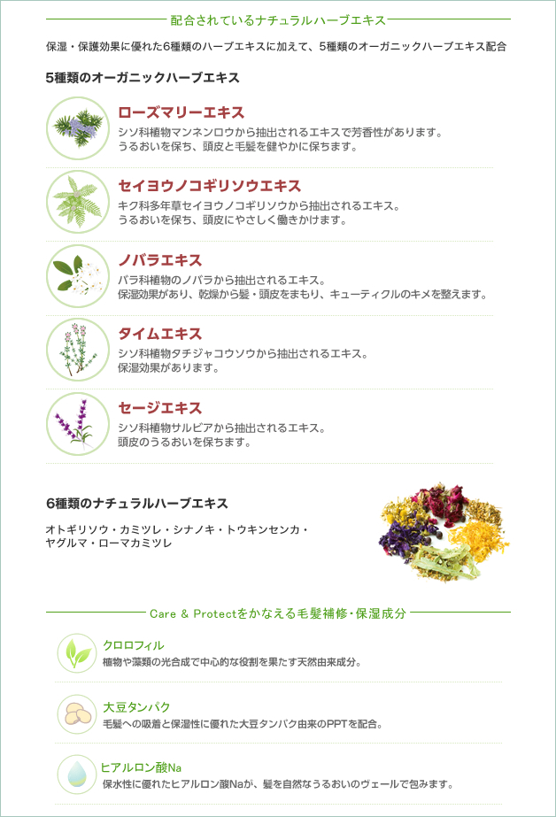 オーガニックカラー登場!!