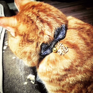 福来たる　　　　　　池袋人気美容室ＨＡＡＡＴ東口店