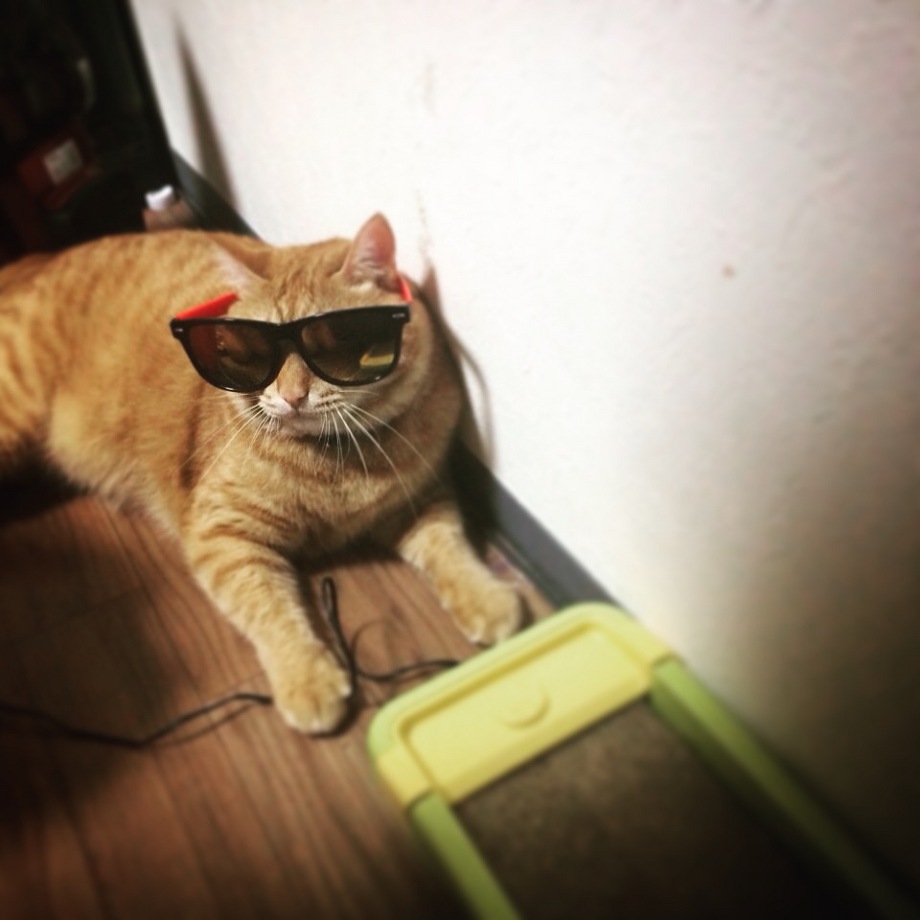 海！！！　　　　　　　　　池袋美容室　ＨＡＡＡＴ　東口店