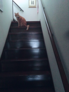 2016☆スタート！！！！