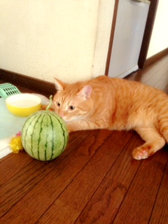 夏休み☆　　　　　　　　　　　池袋美容室　ＨＡＡＡＴ　東口店