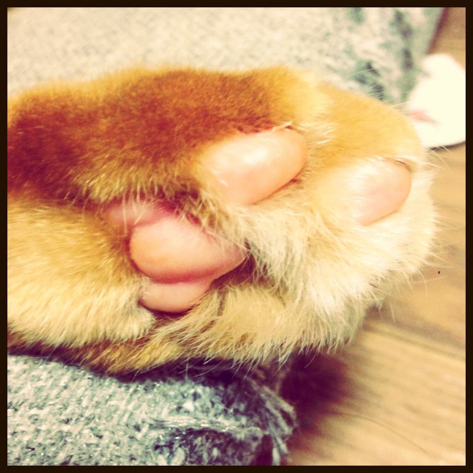 最近のガチャ戦利品。　　　　　池袋美容室　HAAAT　東口店