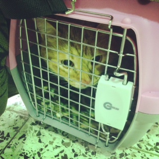 あけましておめでとうございます。