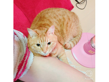 フク様との再会