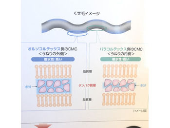 癖でうねる髪にAujuaのアクアヴィア