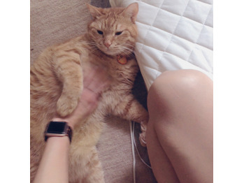 毎朝、後ろ髪を引いてくるオトコ