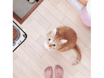 最近出勤を邪魔します。