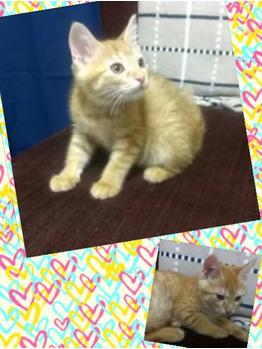 こんな時もあったなぁ...