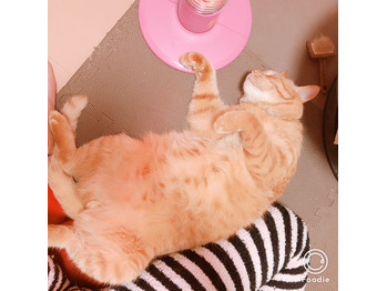 こんな時もあったなぁ...