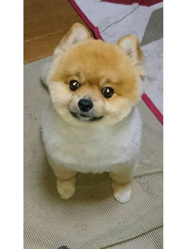 ともだちとのDMで