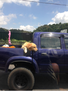 はやく夏にならないかな。by夏女  赤川