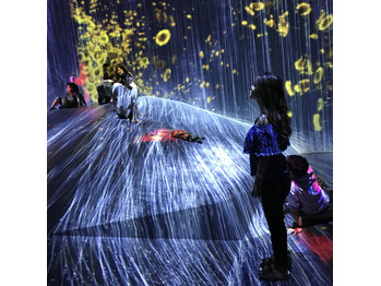 チームラボボーダレス☆彡.。