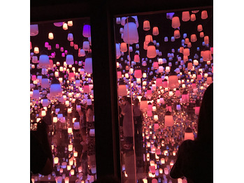 チームラボボーダレス☆彡.。