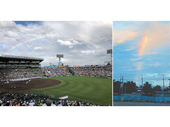 甲子園熱が冷めない
