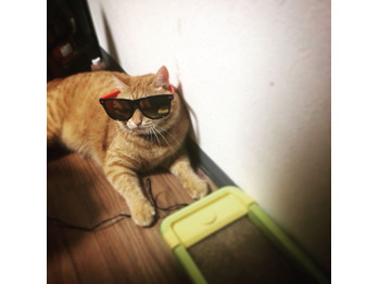 本日、空きございます