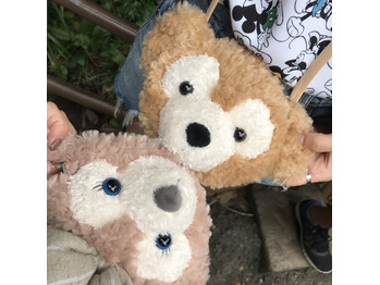 そろそろディズニーに行きたいな!!!