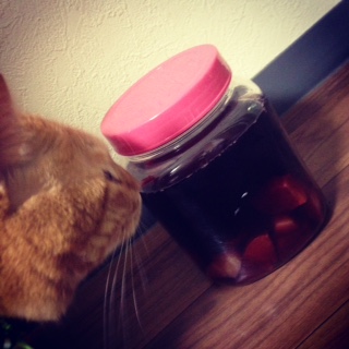 自家製サングリア☆　　　　　　　　　　池袋美容室　ＨＡＡＡＴ　東口店