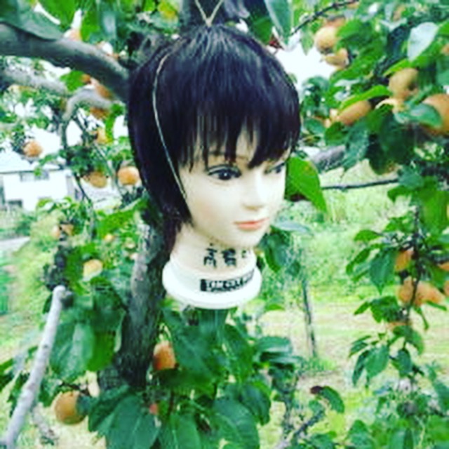 閲覧注意 ウィッグの違った使い道 池袋美容室HAAAT東口店