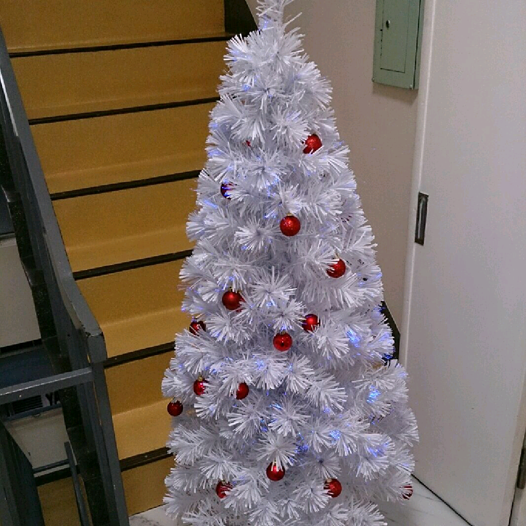 imgG50246951_1385301388846