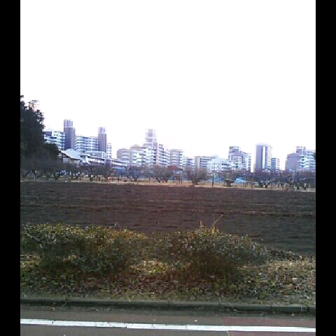 imgG50246951_1389073666507