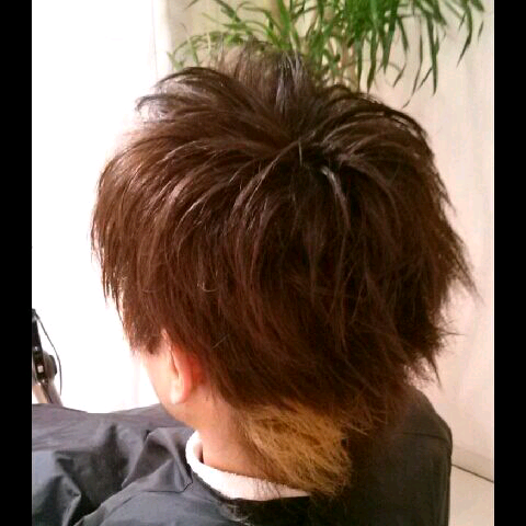 imgG50246951_1397304067492