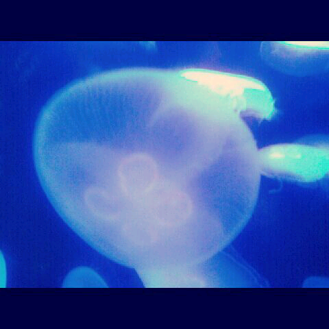 imgG50246951_1401025800677