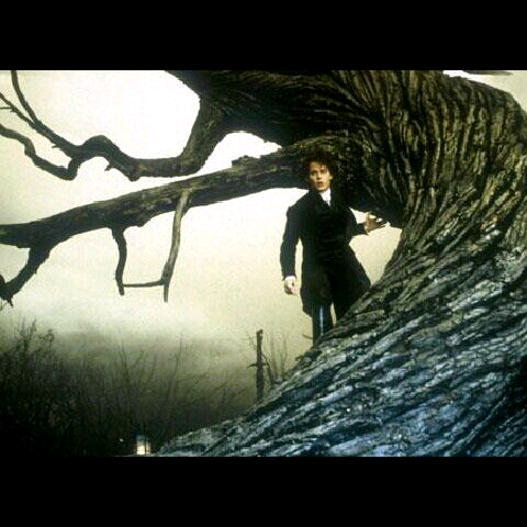 imgG50246951_1402407755614