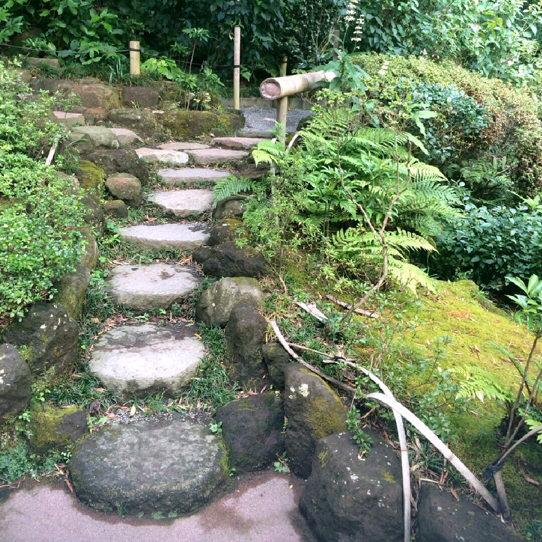 imgG50246951_1408509641815