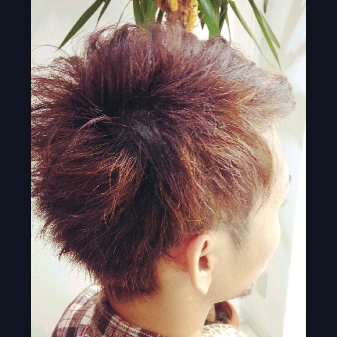 imgG50246951_1447063710666