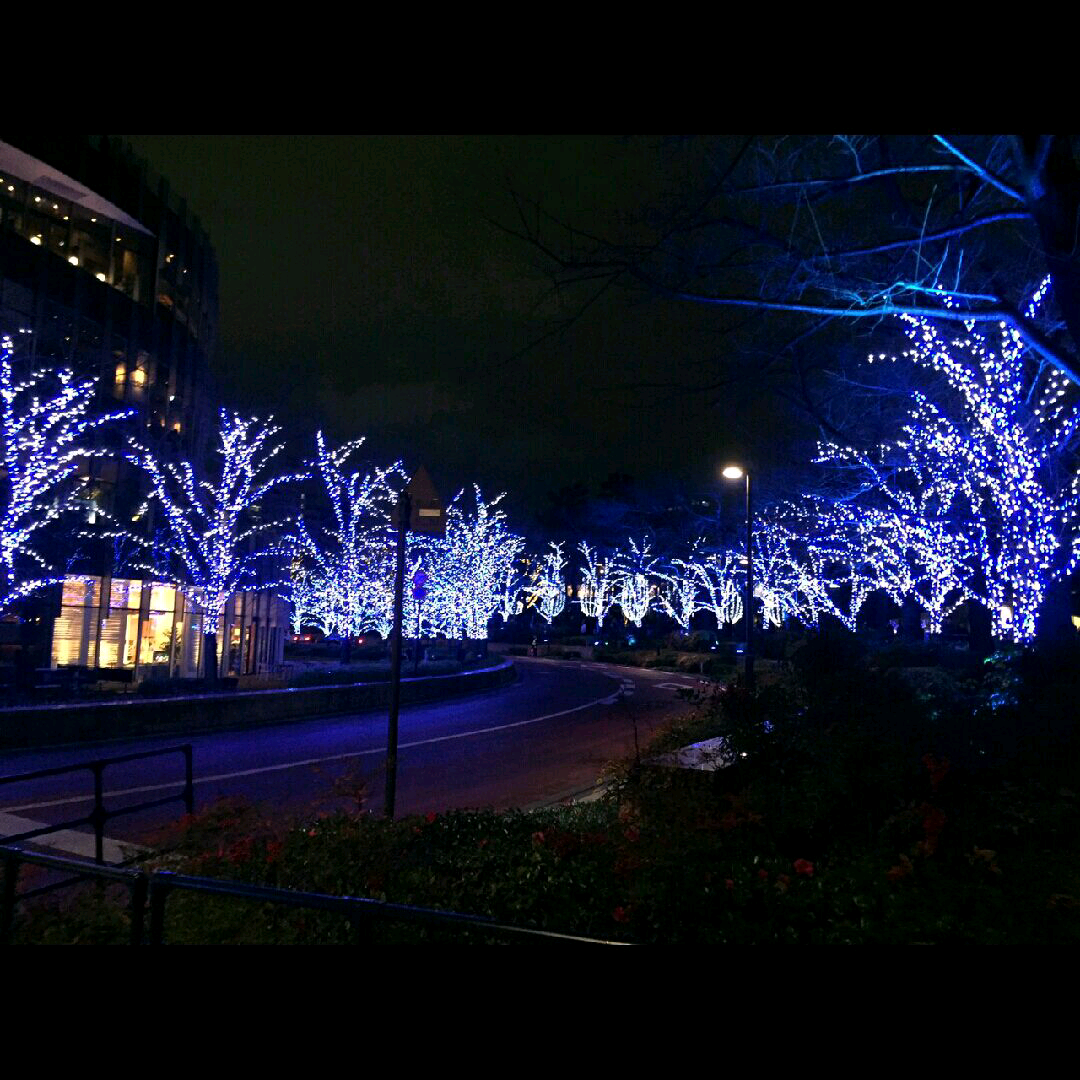 imgG50246951_1451097411397