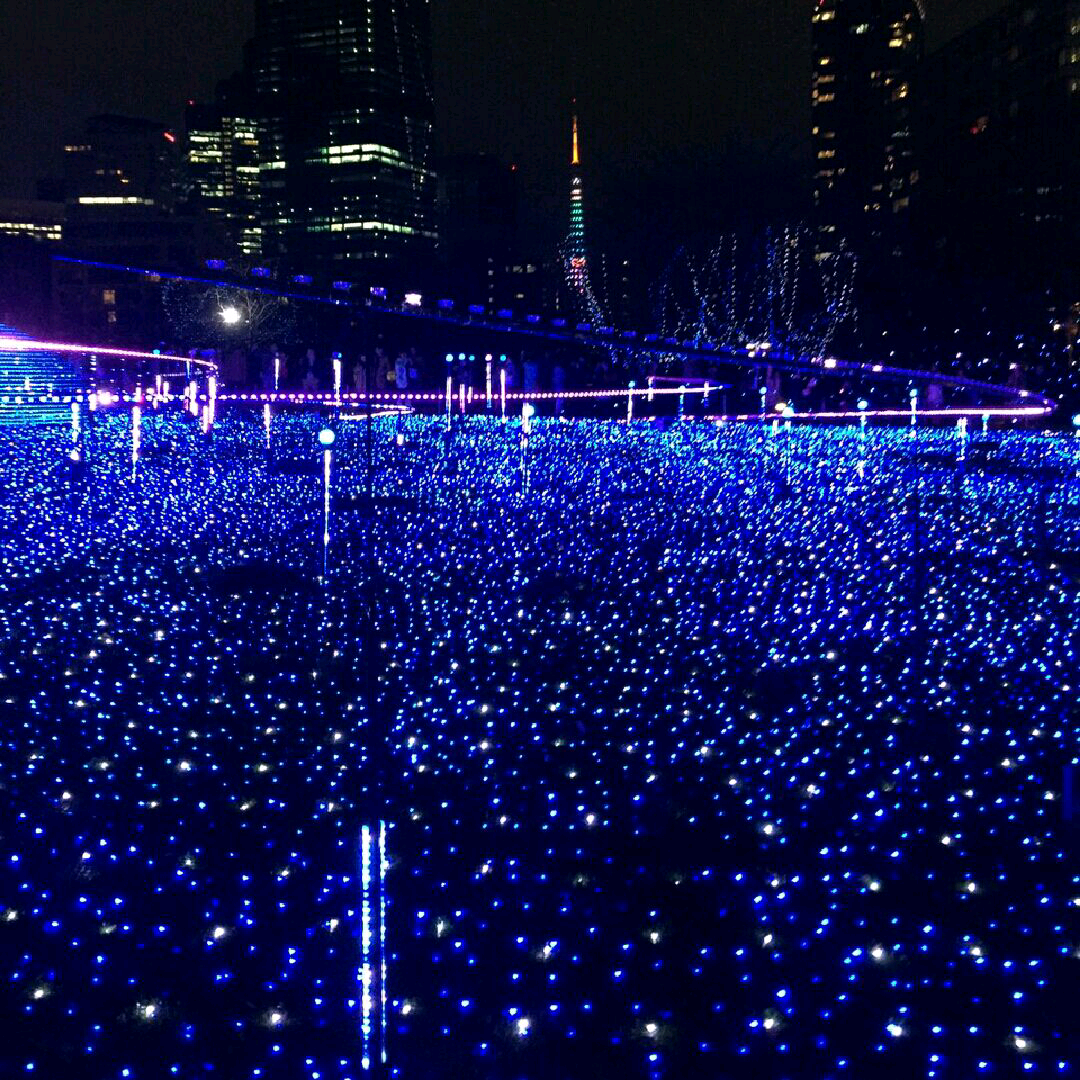 imgG50246951_1451097412983