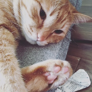 癒しのヘッドスパ☆　　　　　池袋人気美容室HAAAT東口店