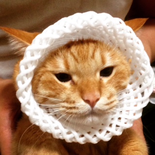 季節の果物　　　　　　　　　　　　　　　　　　池袋美容室　ＨＡＡＡＴ　東口店