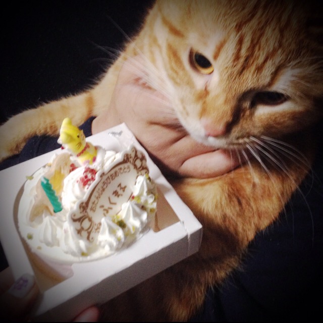 お誕生日☆　　　　　　　　　　　　　　　　　　　池袋美容室　ＨＡＡＡＴ　東口店