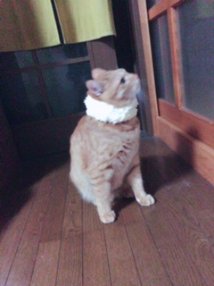 2016☆スタート！！！！