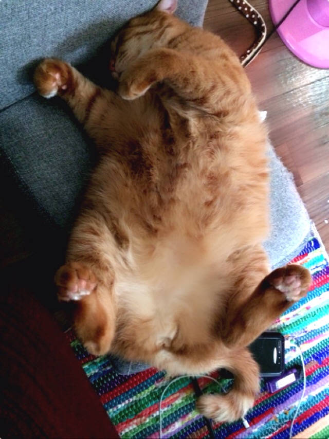 お誕生日☆　　　　　　　　　　　　　　　　　　　池袋美容室　ＨＡＡＡＴ　東口店