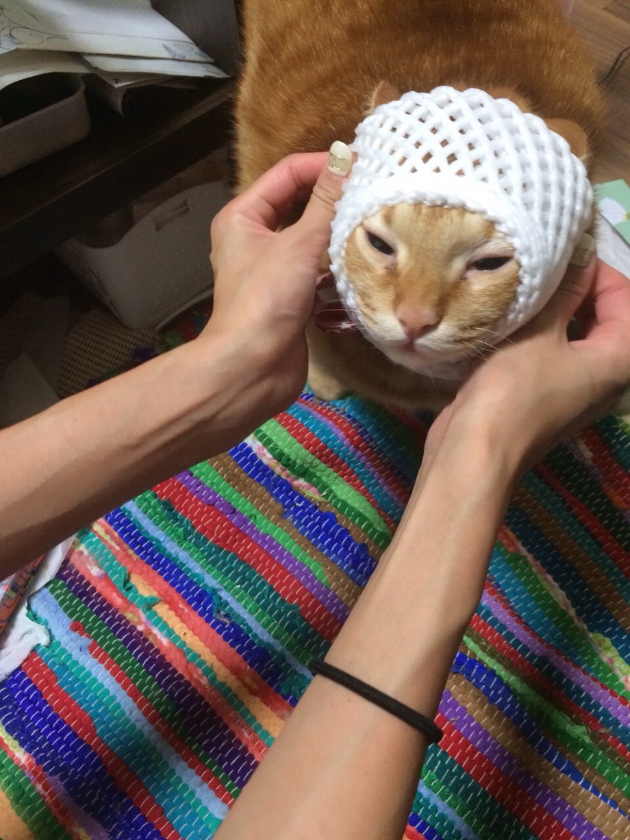 季節の果物　　　　　　　　　　　　　　　　　　池袋美容室　ＨＡＡＡＴ　東口店