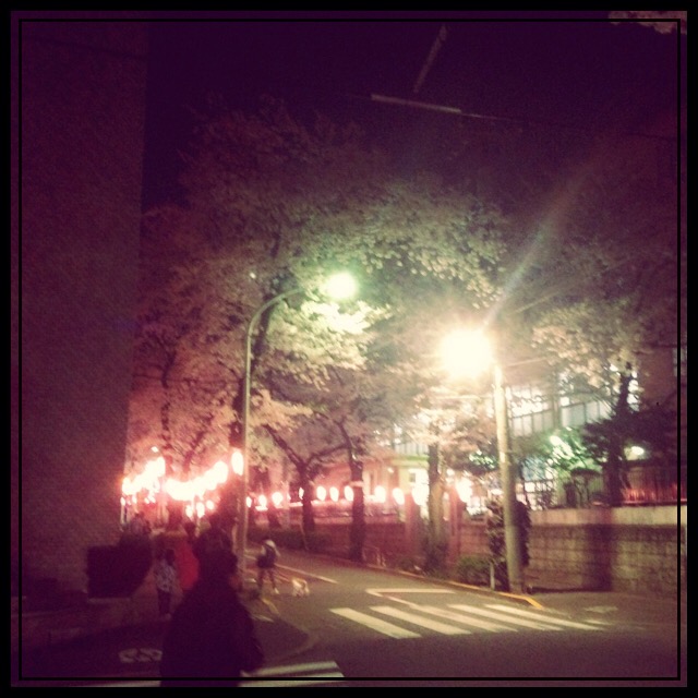 桜☆春一番！！！！　　　　　　　　　　　　池袋美容室　ＨＡＡＡＴ　東口店