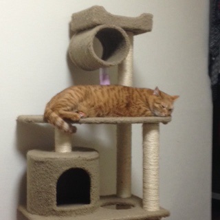 最近のガチャ戦利品。　　　　　池袋美容室　HAAAT　東口店