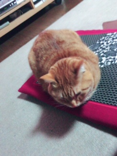 2016☆スタート！！！！