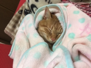 2016☆スタート！！！！