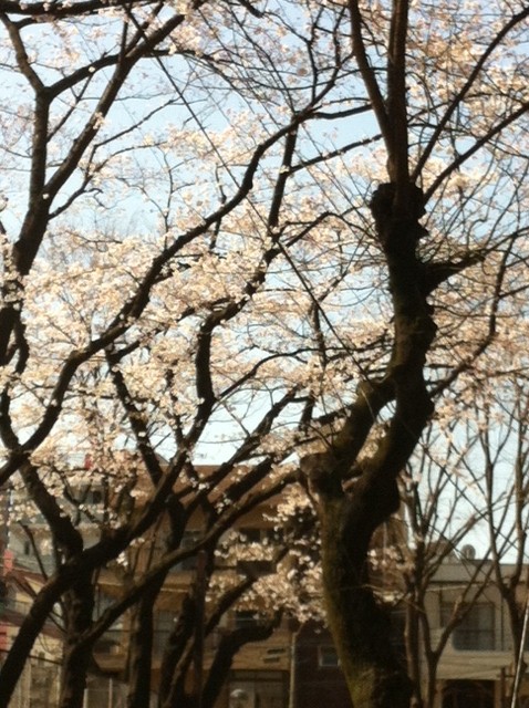 出会いと別れの季節