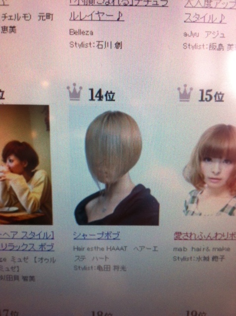 ☆ランキング☆