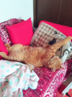 2016☆スタート！！！！