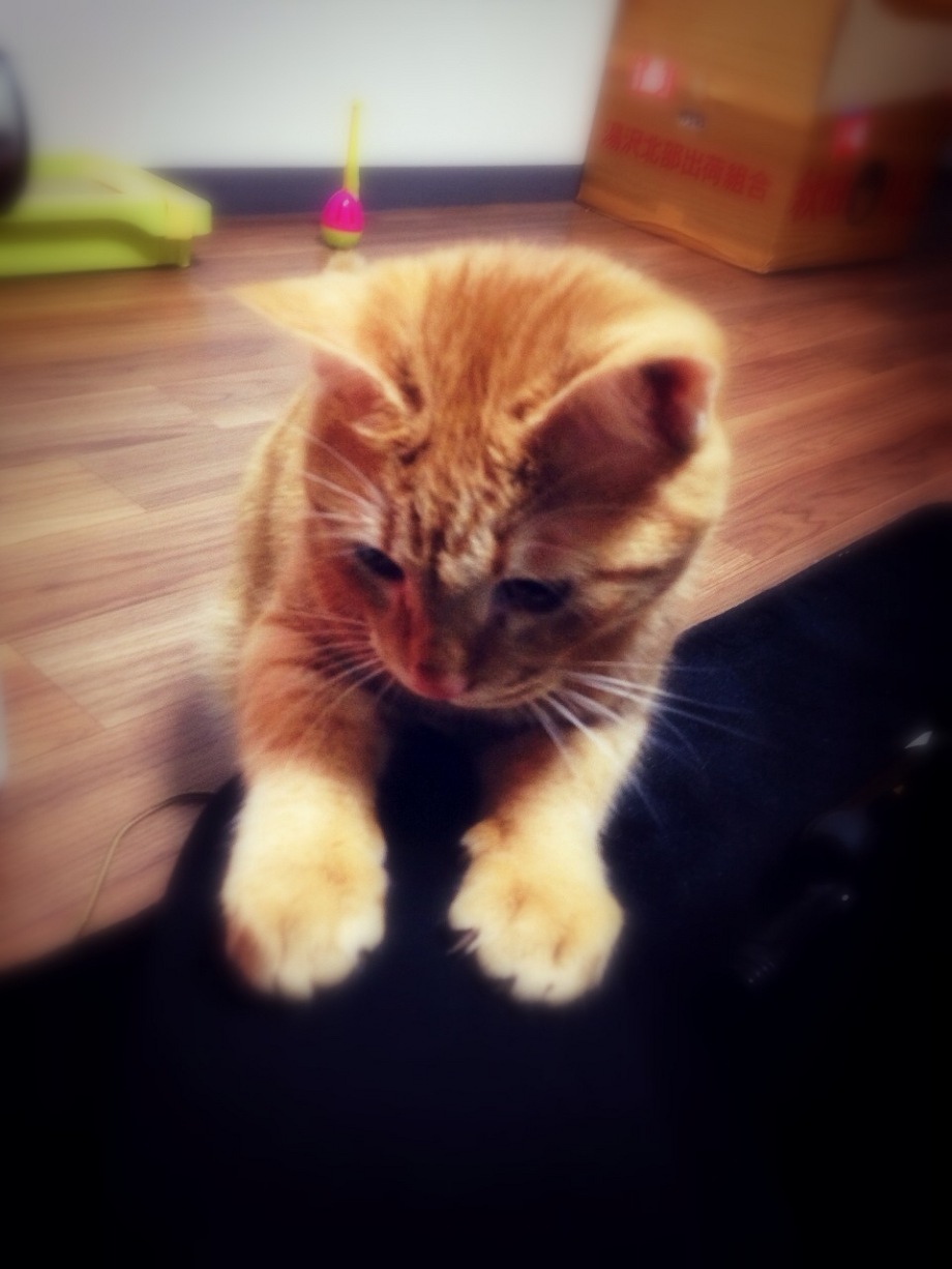 バル風☆ 池袋美容室 HAAAT 東口店