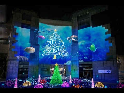 冬のイベントどうします！？