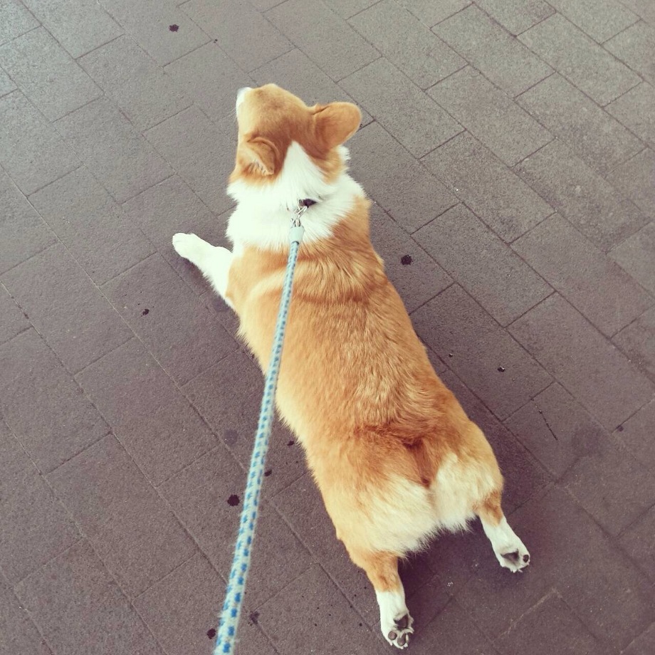 タコスパーリィー☆　　　　　　　　　池袋美容室　HAAAT　東口店